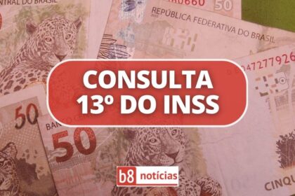 Consulta do 13º, 1ª parcela, INSS